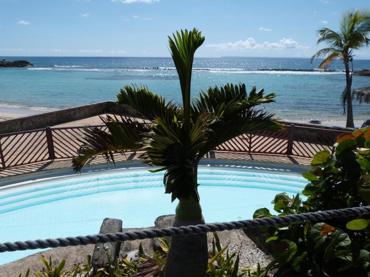 Studio Vue Mer Piscine Plage Kaz Punch Manganao Chez Julie Saint-Francois  Exterior photo